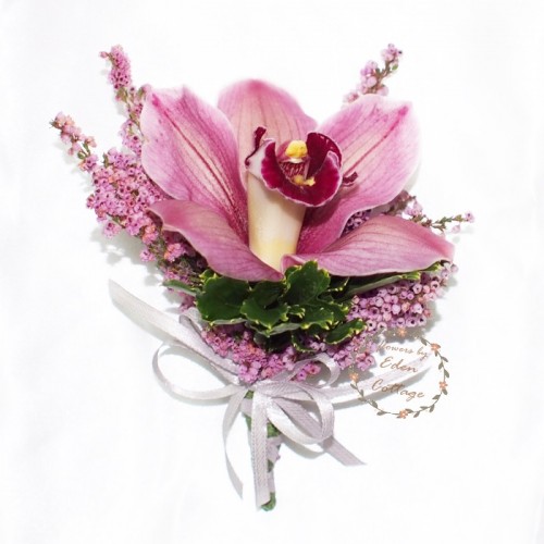 Shop by Occasions