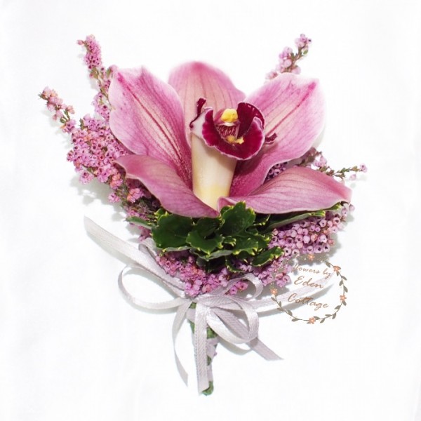 Shop by Occasions