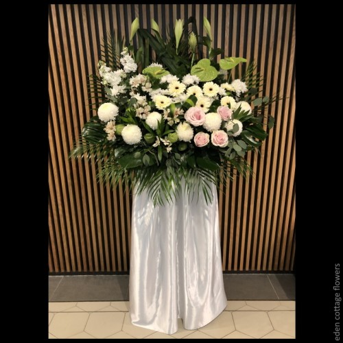 Shop by Occasions