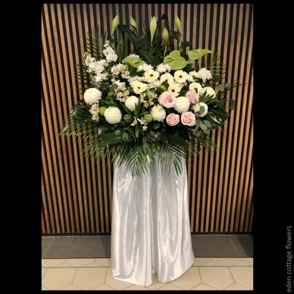Shop by Occasions
