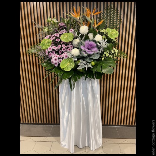 Shop by Occasions