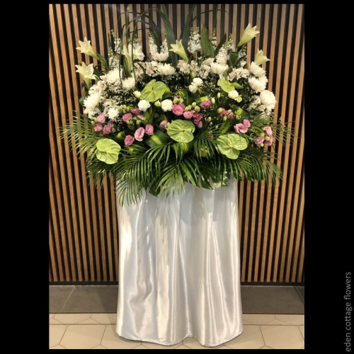 Shop by Occasions
