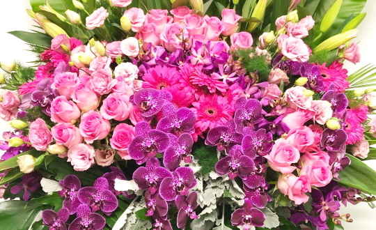 Congratulatory Flower Stands