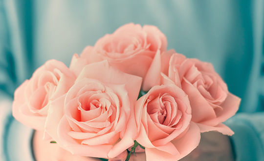 Love & Romance