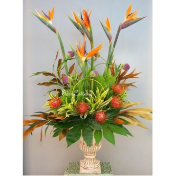 Office Floral Display CFA10