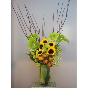 Office Floral Display CFA12