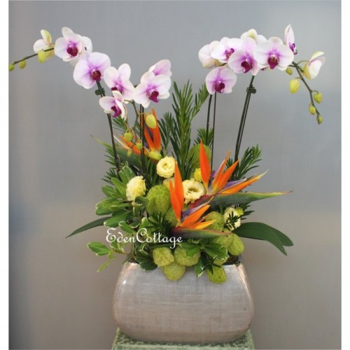Office Floral DIsplay