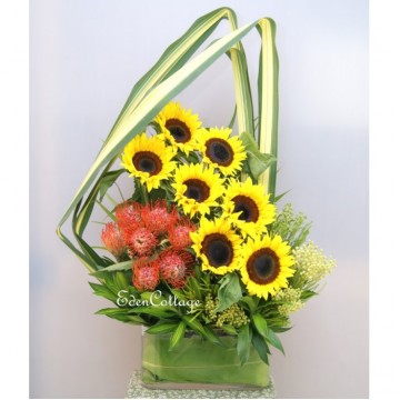 Office Floral Display CFA16