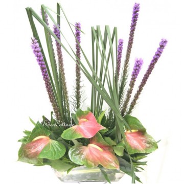 Office Floral Display CFA17