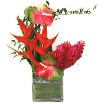 Office Floral Display CFA20