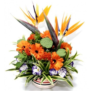 Office Floral Display CFA22