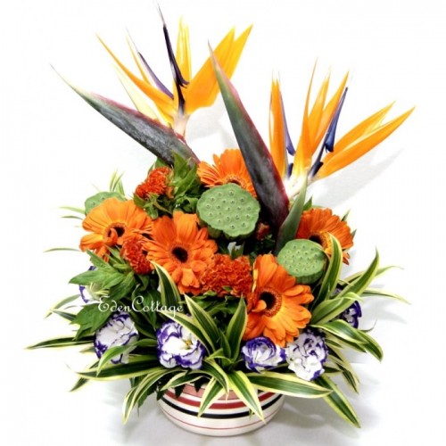 Office Floral DIsplay